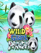 sa88 บา คา ร่า pgauto789 เกมเดิมพันสุดมันส์